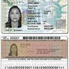 Buy USA Residence Permit Online