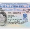 Buy Canada Drivers License
