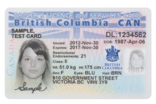 Buy Canada Drivers License