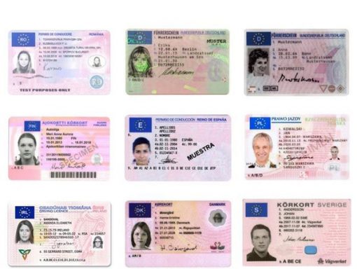 Buy French Drivers License